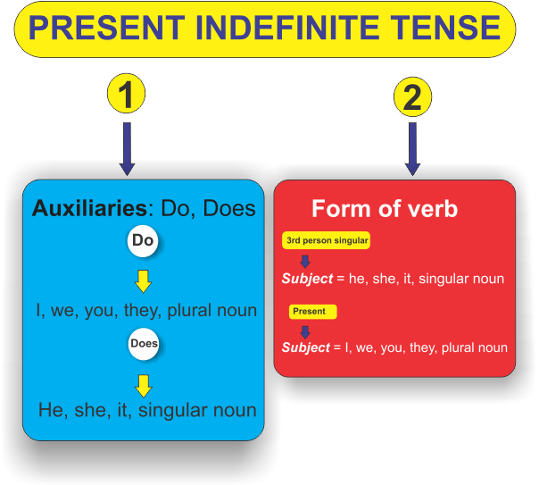 present indefinite tense structure